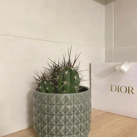 Vecchio Centre * Porto Vecchio